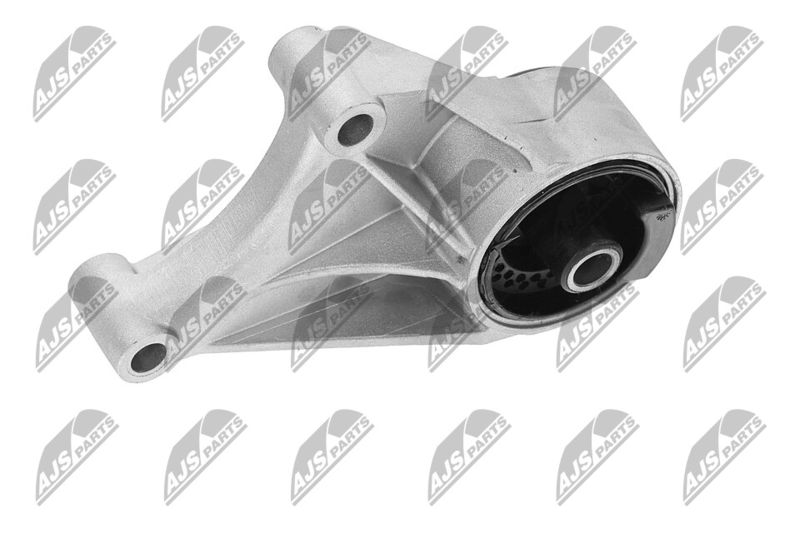 Paigutus, Mootor, NTY ZPS-PL-069