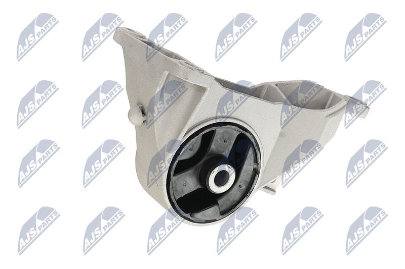 Paigutus, Mootor, NTY ZPS-PL-039