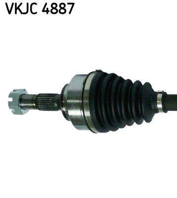 VKJC 4887_2.JPG