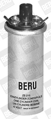 BorgWarner (BERU) ZS215 Ignition Coil