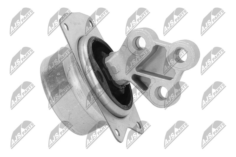 Paigutus, Mootor, NTY ZPS-PL-025