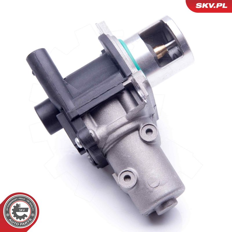 EGR-klapp, ESEN SKV 14SKV163