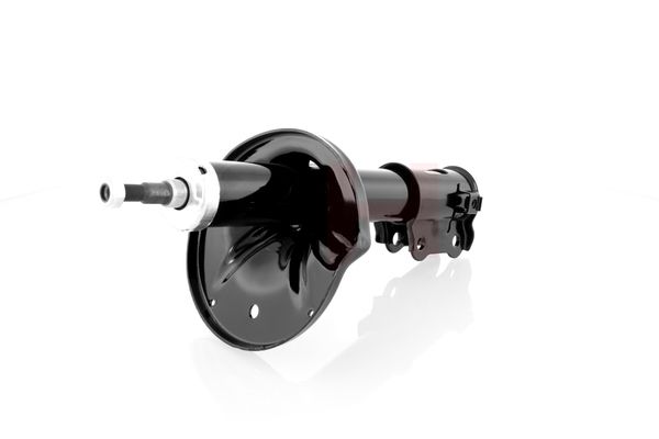 Amort, GH GH-323421H