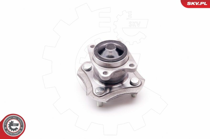 ESEN SKV 29SKV063 Wheel Bearing Kit