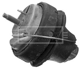 BEM4003_210795.JPG