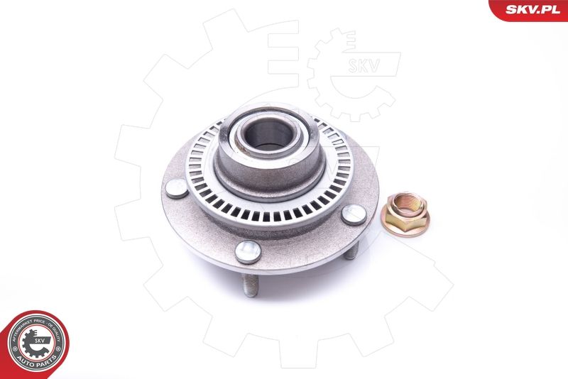 ESEN SKV 29SKV183 Wheel Bearing Kit