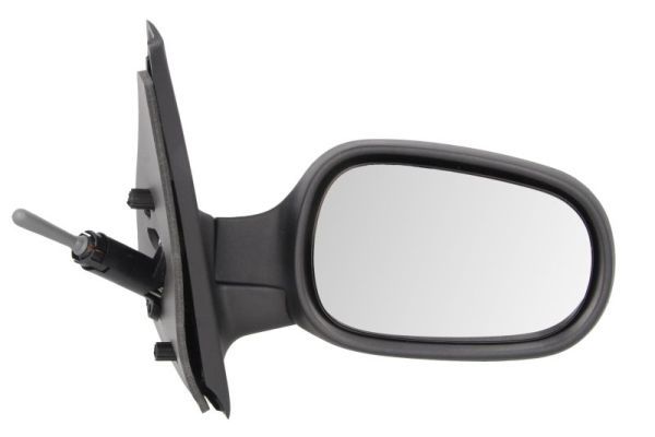 BLIC 5402-09-2002124P Exterior Mirror