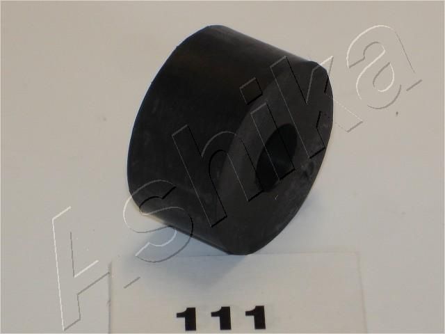 GOM-111_1.JPG