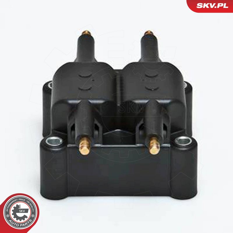 ESEN SKV 03SKV078 Ignition Coil