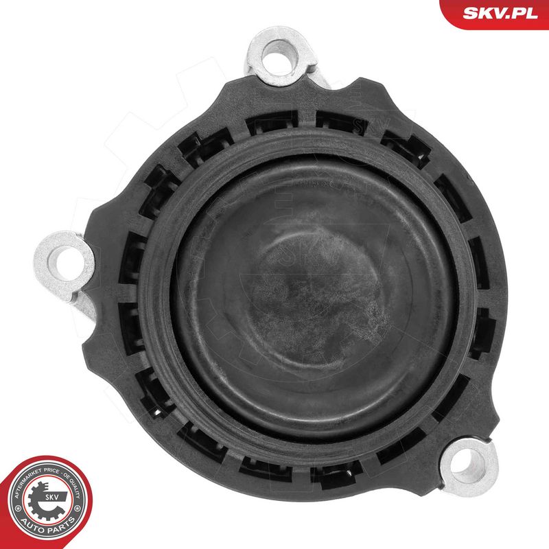 Paigutus, Mootor, ESEN SKV 75SKV086