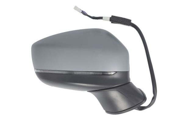 BLIC 5402-14-1906313P Exterior Mirror