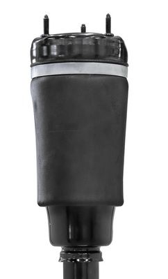 GOLD 6160070 Air Suspension Strut