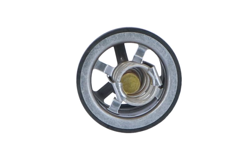 Termostat, chladivo 725020