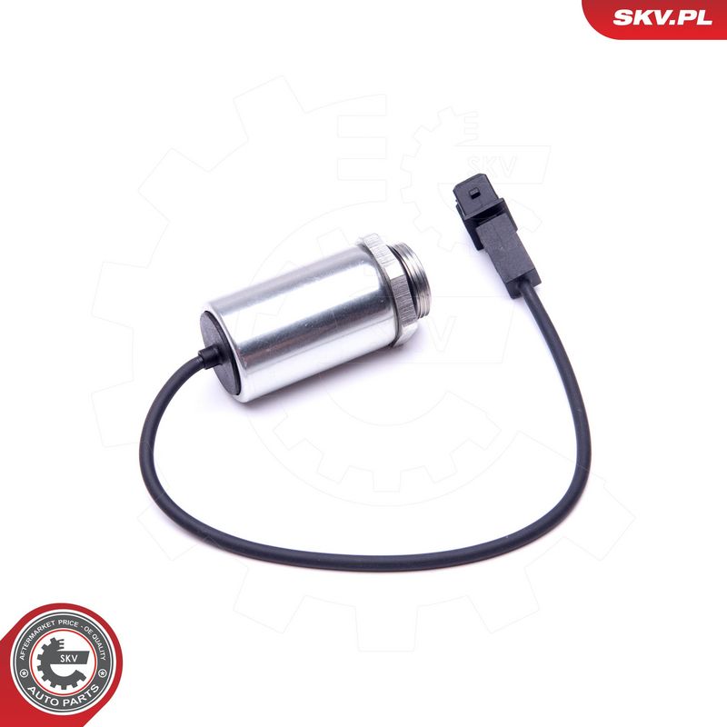 Juhtklapp, nukkvõlli asend, ESEN SKV 39SKV048