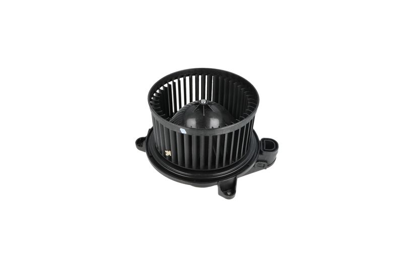 Salongipuhur, NRF 34365