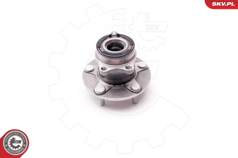 ESEN SKV 29SKV049 Wheel Bearing Kit