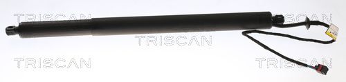 TRISCAN gázrugó, csomag-/poggyásztér 8710 17302