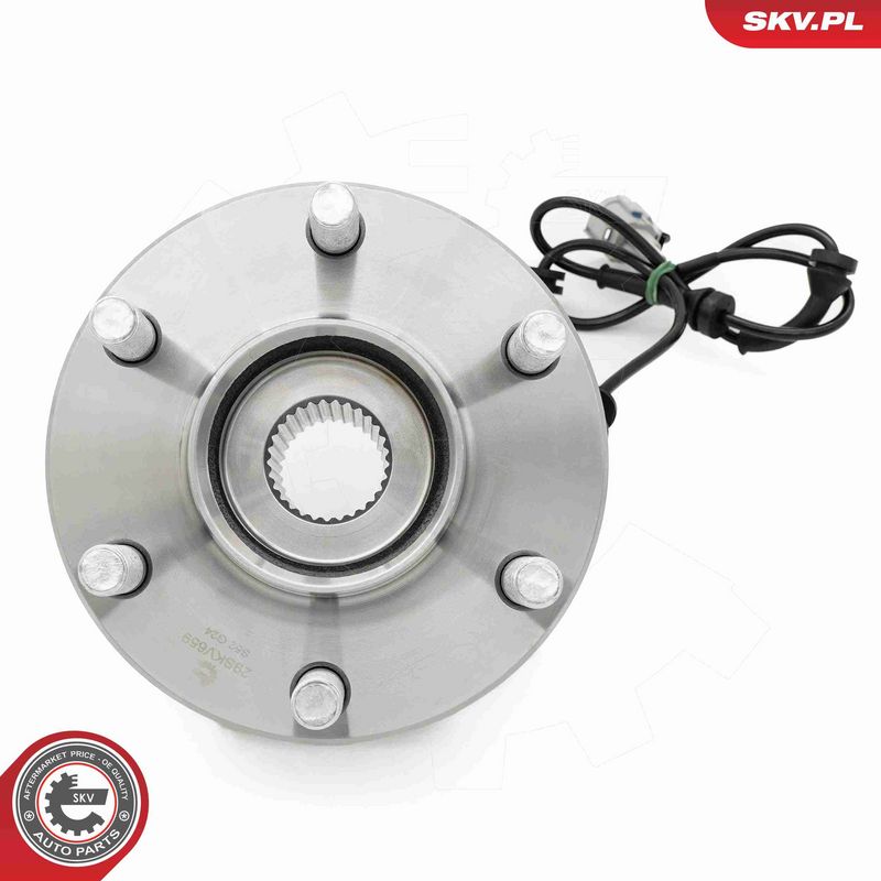ESEN SKV 29SKV659 Wheel Bearing Kit