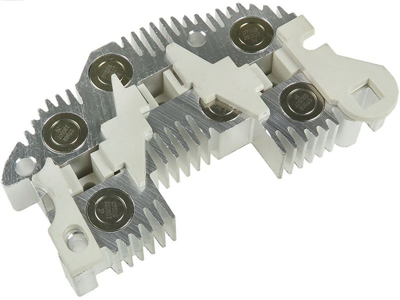 275594.JPG