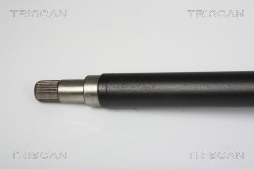 854016609_2.JPG