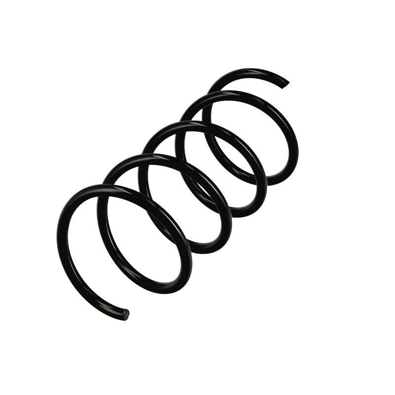 EIBACH R11054 Pakabos spyruoklė