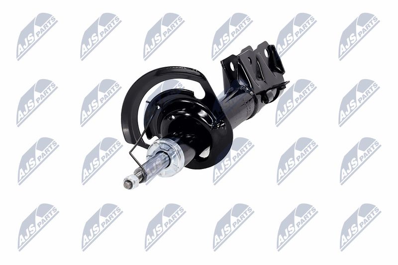 Amort, NTY A-CH-056