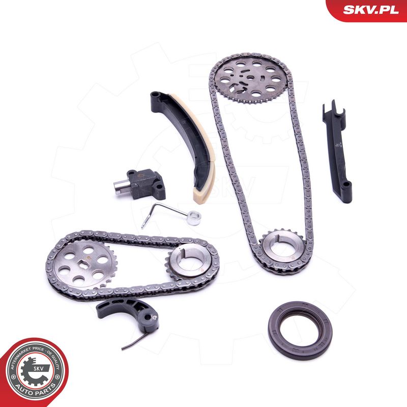 Mootori keti komplekt, ESEN SKV 21SKV209