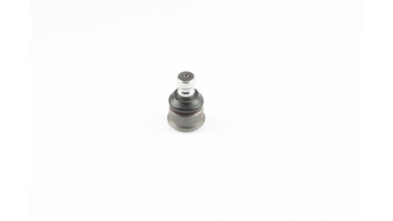 SKF VKDS 316006 Šarnyras / girgždukas