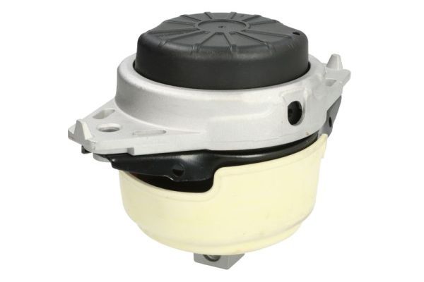 REINHOCH RH11-3146 Mounting, engine