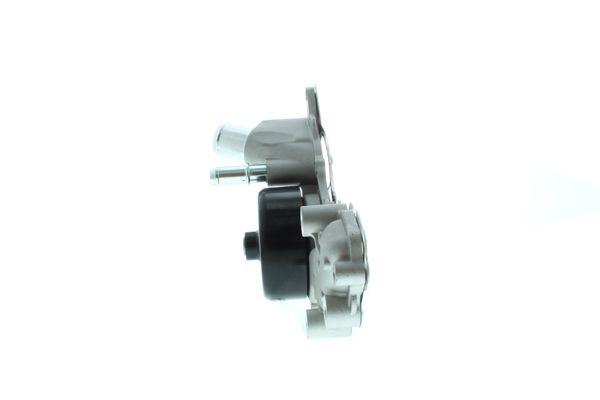 WPCH-714 02.JPG