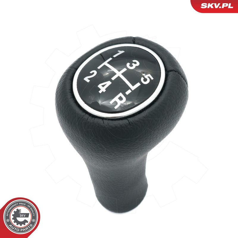 Käigukanginupp, ESEN SKV...