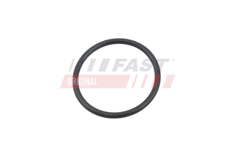 Kinnitusvedru, jahutusvedelikutorustik, FAST FT10368