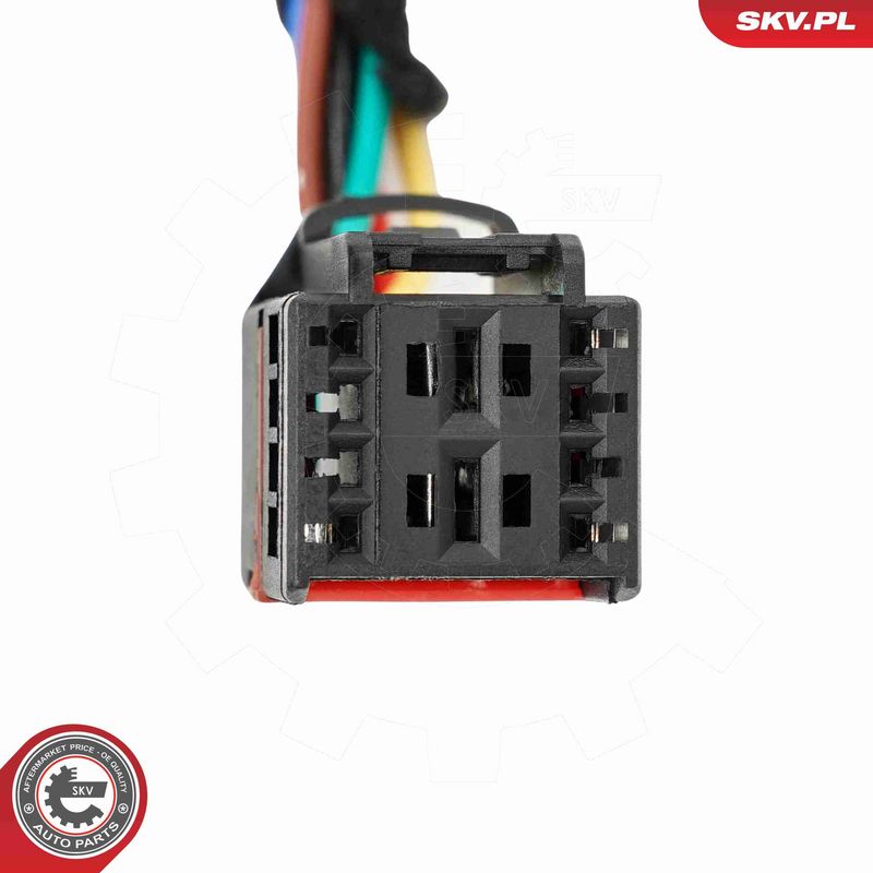 ESEN SKV 52SKV198 Electric Motor, tailgate