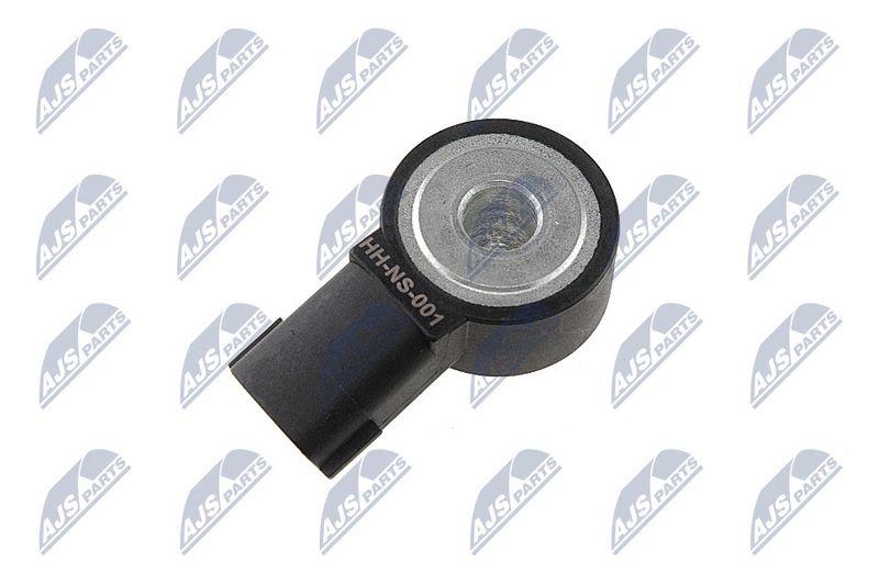 Detonatsiooniandur, NTY ESS-NS-001