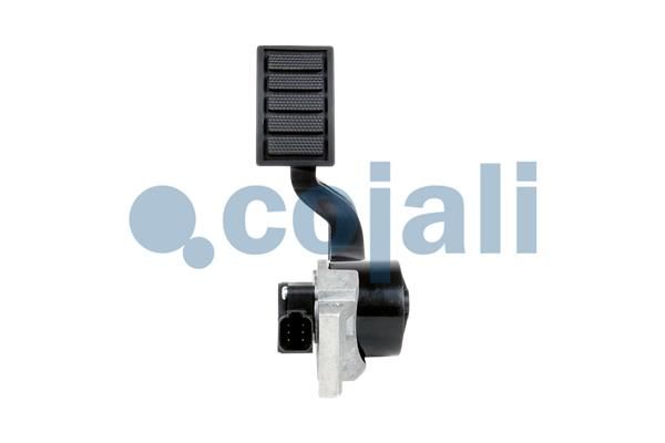 Senzor, poloha akceleračního pedálu 2260503