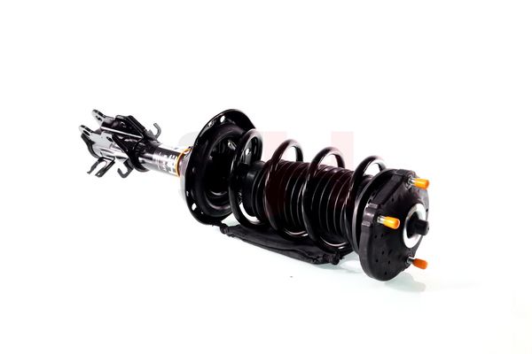 Vedruamort, GH GH-352388C01