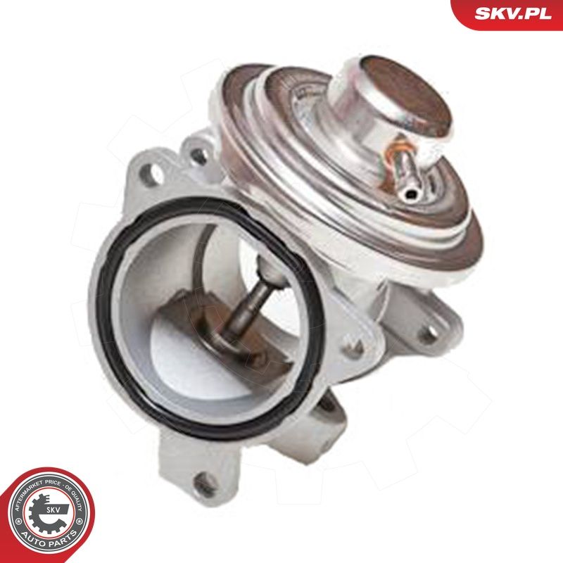 EGR-klapp, ESEN SKV 14SKV034