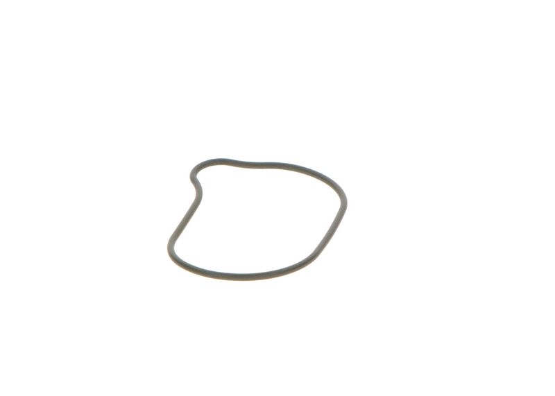 BOSCH 2440210028 Rubber Ring