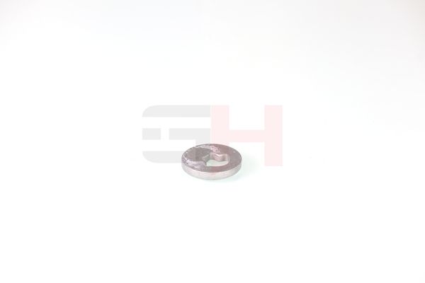 caster shim, sillatala, GH GH-391582