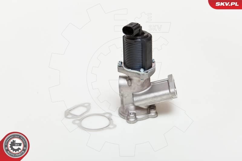 ESEN SKV 14SKV039 EGR Valve