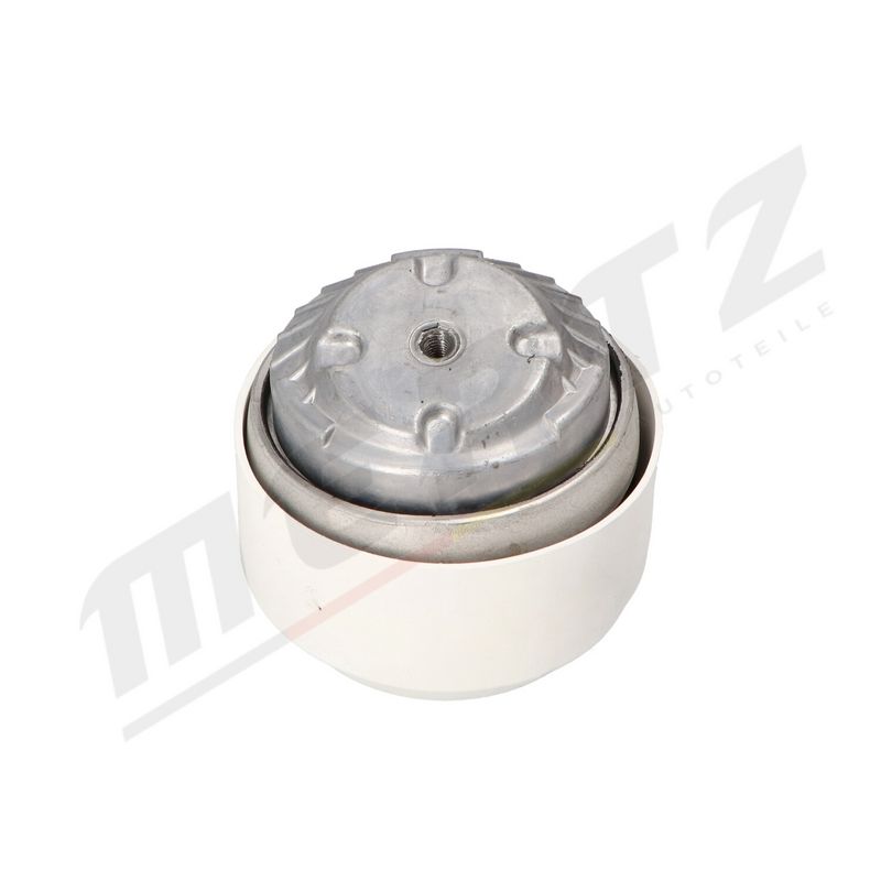 MERTZ M-S4775 Mounting, engine