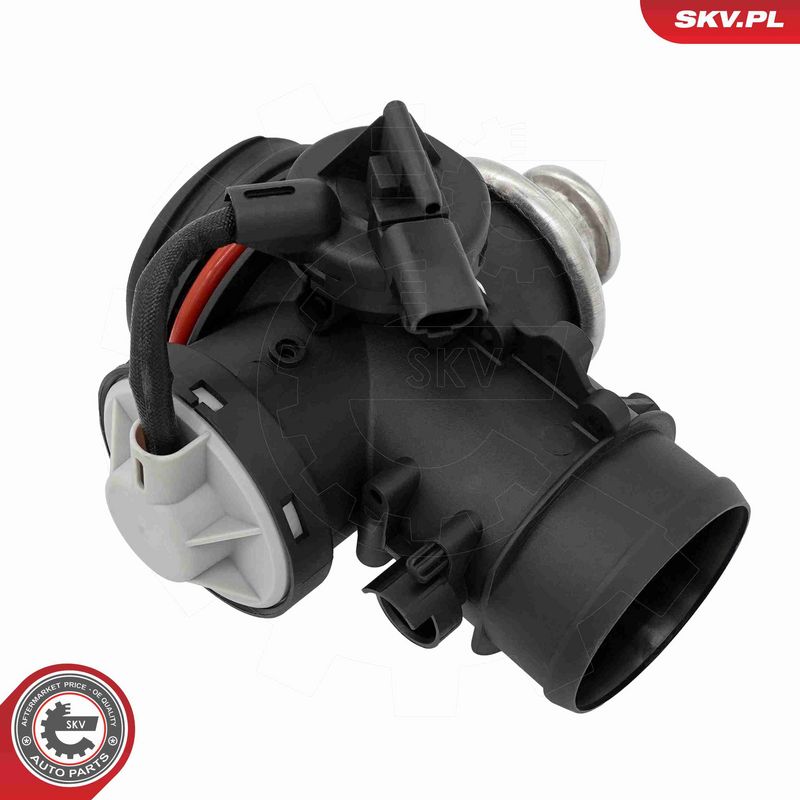 ESEN SKV 14SKV295 EGR Valve