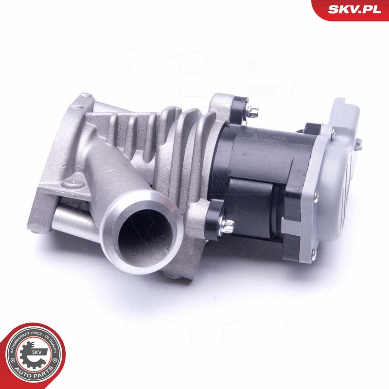 EGR-klapp, ESEN SKV 14SKV173