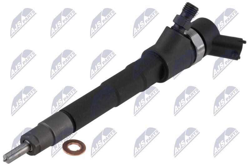 BWP-FT-003_1-WM.JPG