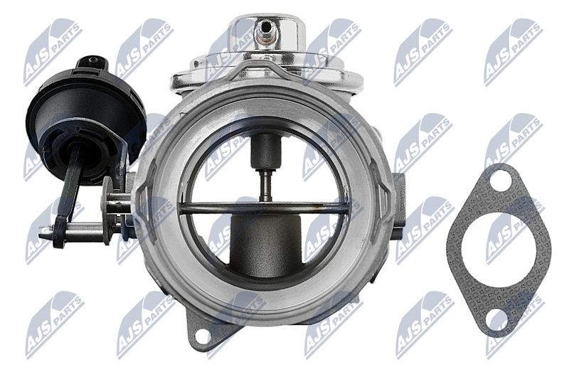 egr-vw-008_4-wm.JPG