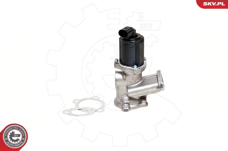 ESEN SKV 14SKV039 EGR Valve