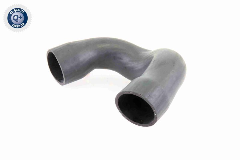 VAICO V10-3821 Charge Air Hose