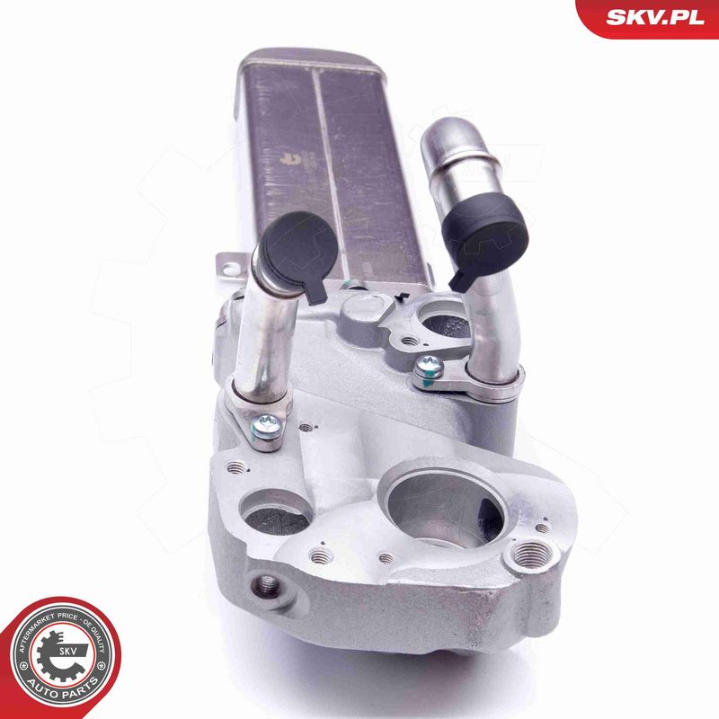 ESEN SKV 14SKV137 EGR Valve