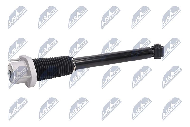Amort, NTY A-LR-015