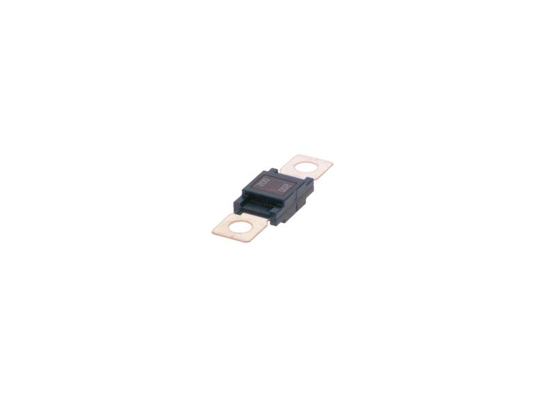 BOSCH 1987531004 Fuse